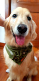 Lux Collection Pet Bandana: Army Pawsome School(Pre-order)