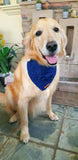 Knit Collection Pet Bandana: Wolfy Orange(Pre-order)