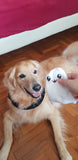 Pet Squeaky Toy: Ghost