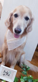 Lux Collection Pet Bandana: Chic Bandana