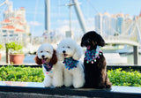 Boho Pom Pom Collection Pet Bandana: Tropical Fun Loving(Pre-order)