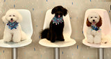 Boho Pom Pom Collection Pet Bandana: Tropical Fun Loving(Pre-order)