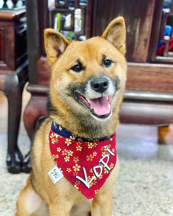 Personalised Reversible Pet Bandana with Adjustable Button (Pre-order)