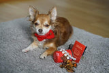 Crochet Pet Bow Collection: Red